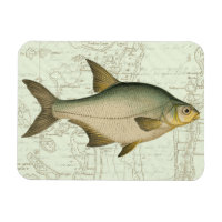 Poisson d'eau douce sur la carte