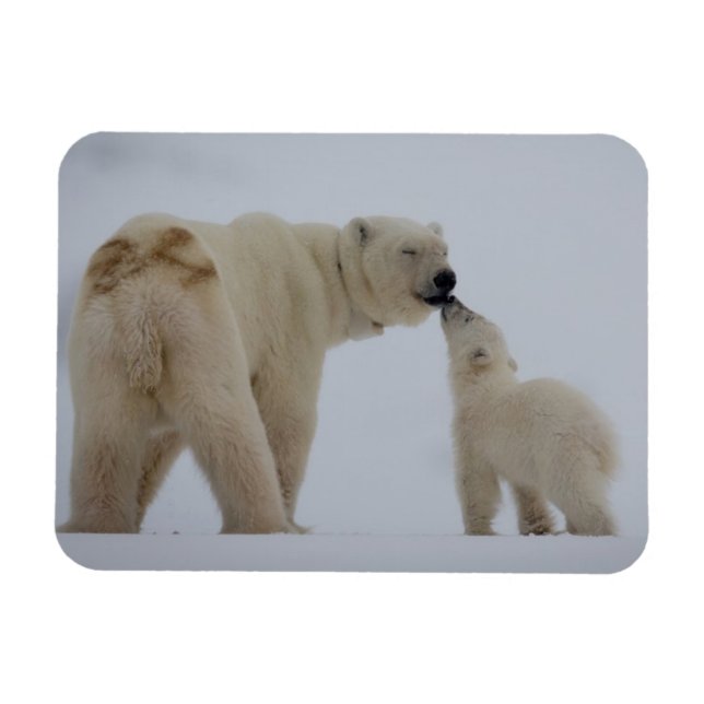 Magnet Flexible Polar Bear Mother with Cub (Horizontal)