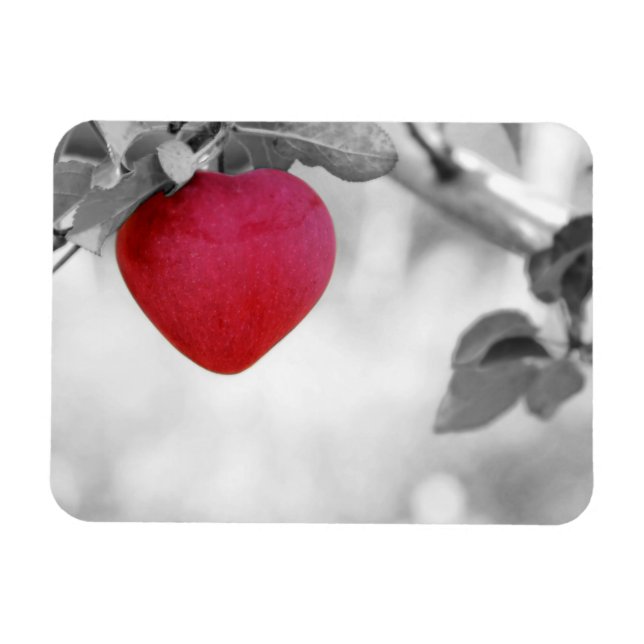 Magnet Flexible Pomme en forme de coeur rouge dramatique (Horizontal)