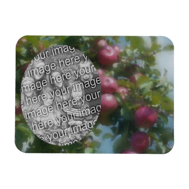 Magnet Flexible Pommes Rouges Sur Peinture D'Arbre Ajouter Votre P (Horizontal)