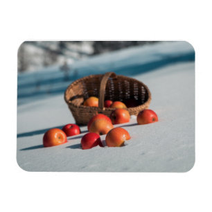 Magnet Flexible Pommes sur la neige