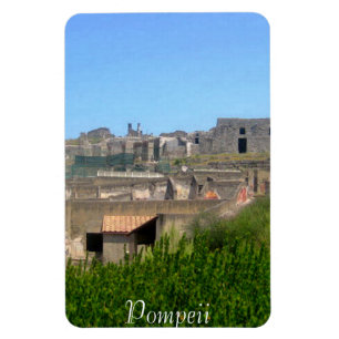 Magnet Flexible Pompeii Italie