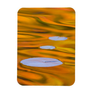 Magnet Flexible Pont Lily sur l'eau orange, Canada