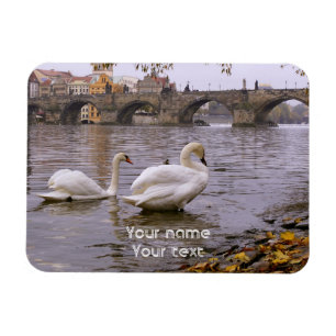 Magnet Flexible Pont Swans and Charles à Prague