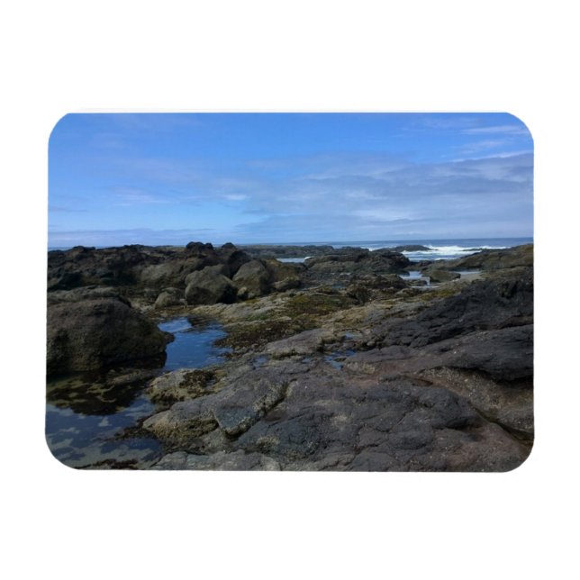 Magnet Flexible Pools à marée à Bob Creek, OU (Horizontal)