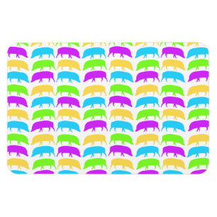 Magnet Flexible Porcs multicolores Jaune Vert Violet Bleu Premier
