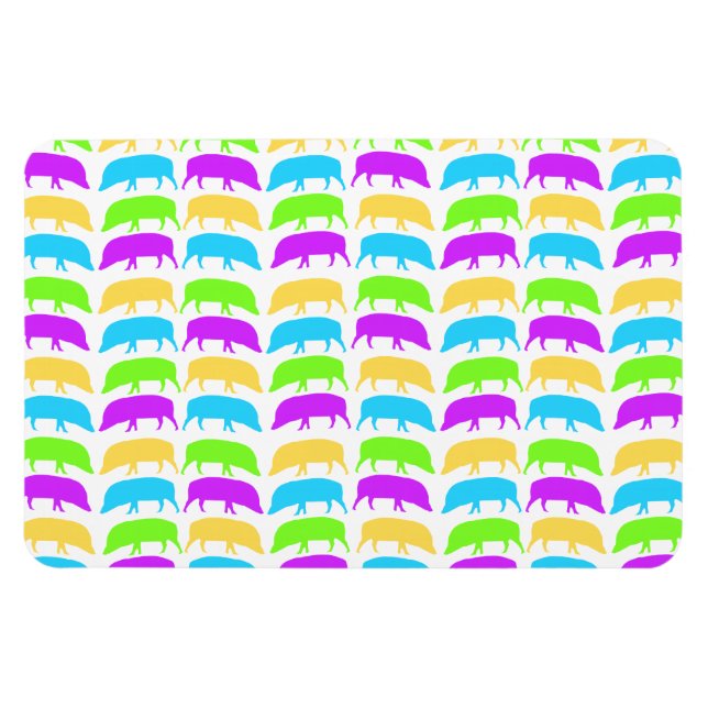 Magnet Flexible Porcs multicolores Jaune Vert Violet Bleu Premier (Horizontal)