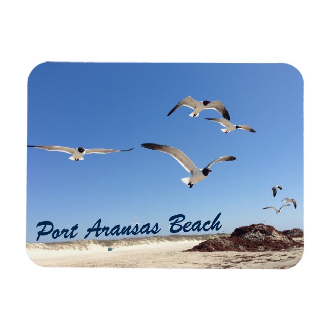 Magnet Flexible Port Aransas Seagull Photographie Plage Jolie (Horizontal)