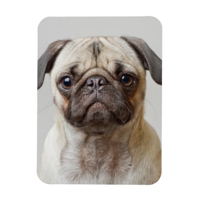 Magnet Flexible Portrait carlin (Vertical)