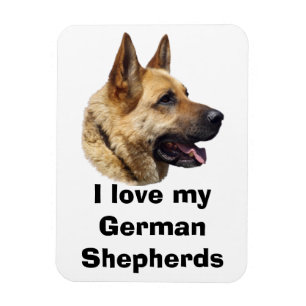 Magnet Flexible Portrait de chien berger allemand alsacien