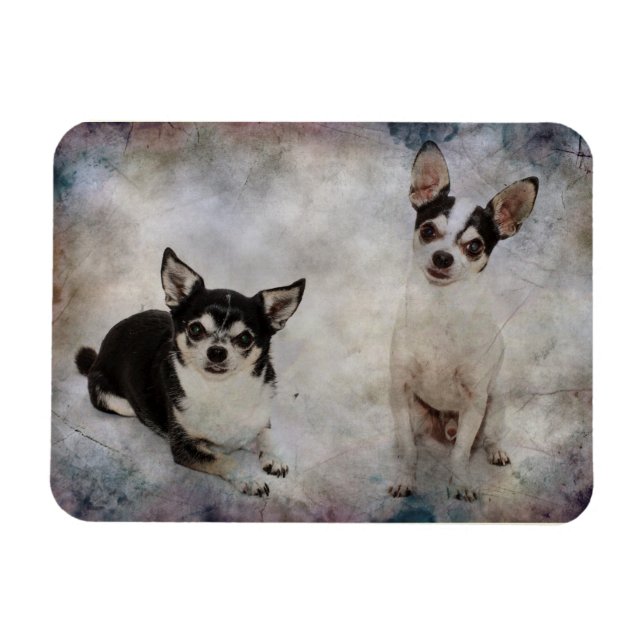 Magnet Flexible Portrait de deux chihuahua (Horizontal)
