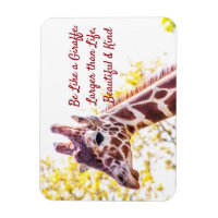 Portrait de Giraffe
