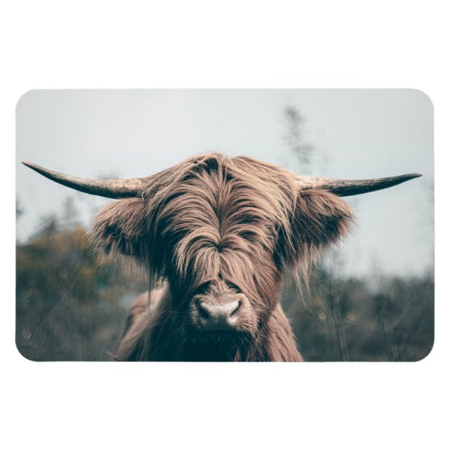 Magnet Flexible Portrait de vache Highland (Horizontal)