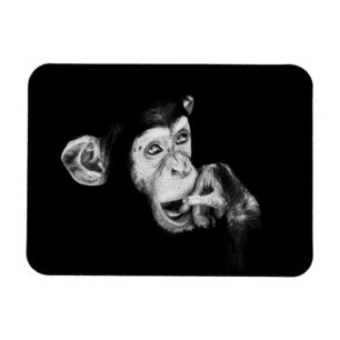 Magnet Flexible Portrait d'un penseur, Chimpanzé