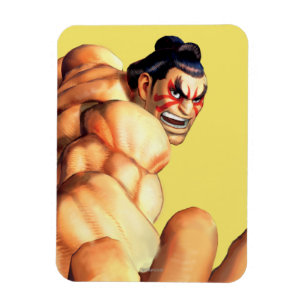 Magnet Flexible Position d'E. Honda Side