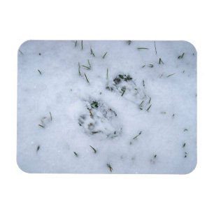 Magnet Flexible Posters de animaux dans l'aimant flexible neige