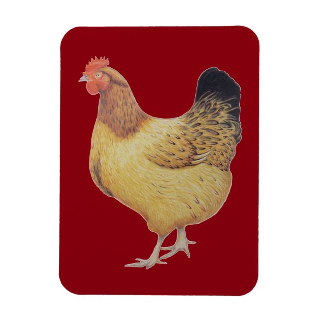 Magnet Flexible Poulet 2012 (Vertical)