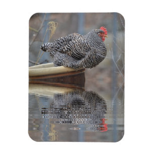 Magnet Flexible Poulet avec des réflexions