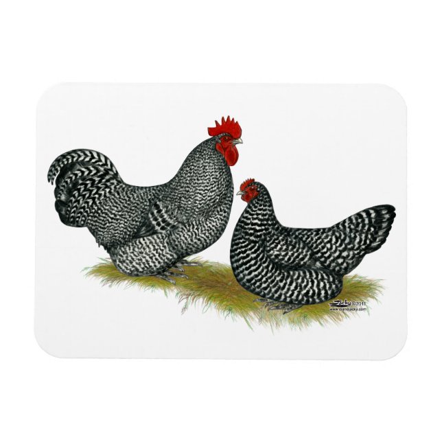 Magnet Flexible Poulet croustillant (Horizontal)