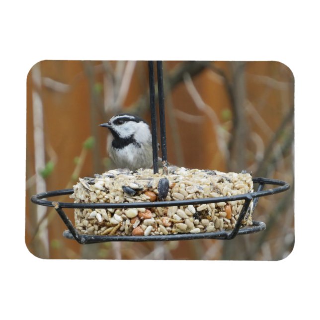Magnet Flexible Poulet de montagne sur le mangeur (Horizontal)
