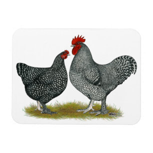 Magnet Flexible Poulets de Maline