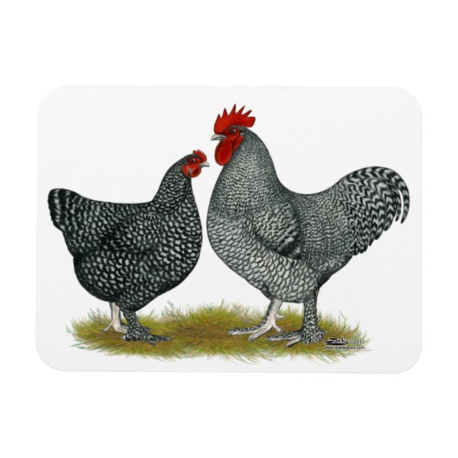 Magnet Flexible Poulets de Maline (Horizontal)