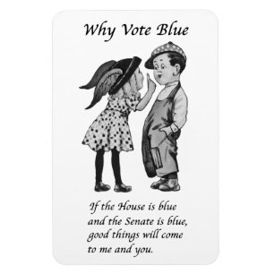 Magnet Flexible Pourquoi voter bleu en 2026
