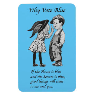 Magnet Flexible Pourquoi voter bleu en 2026
