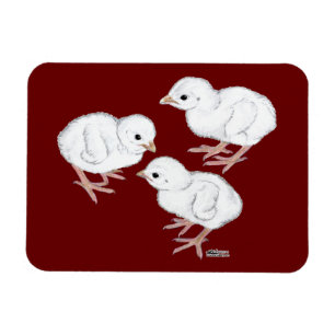 Magnet Flexible Poussins de Guinée blancs