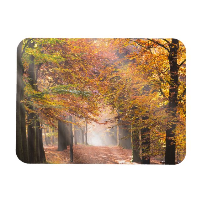 Magnet Flexible Poutres de soleil dans un aimant rectangulaire de  (Horizontal)