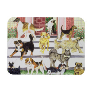 Magnet Flexible Présents de la partie