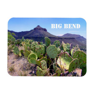 Magnet Flexible Pricky Pear Cactus Big Bend National Park