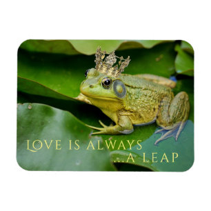 Magnet Flexible Prince de grenouille sur Lily Pad