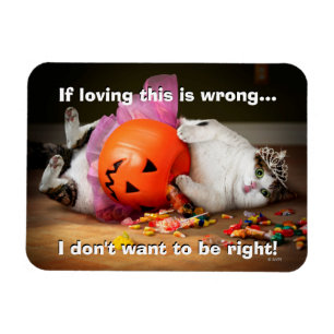 Magnet Flexible Princesse Chat avec seau à bonbons