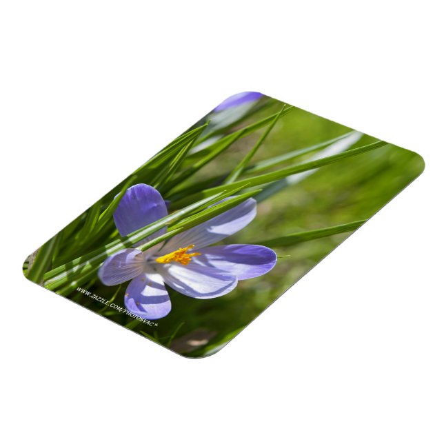 Magnet Flexible Printemps (Côté Gauche)