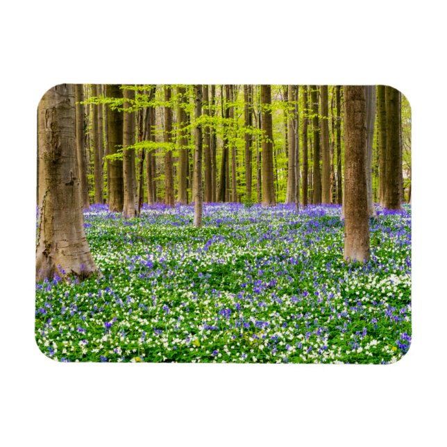 Magnet Flexible Printemps dans la forêt bleue (Horizontal)