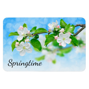 Magnet Flexible Printemps (fleurs de pomme)