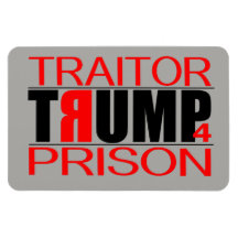 Prison TraitorTrump 4