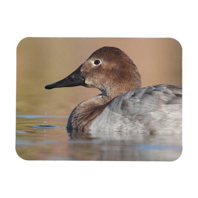 Magnet Flexible Profil de canard à canard à canard (Horizontal)
