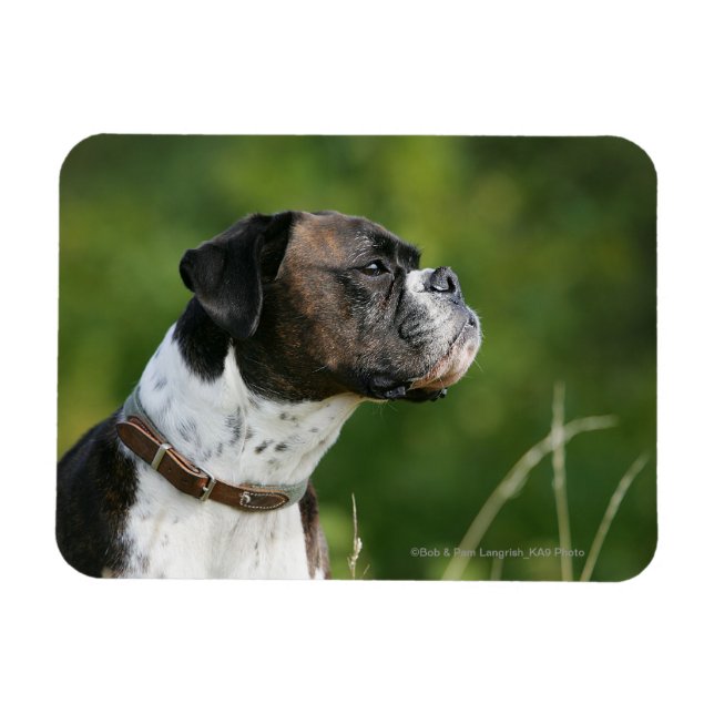 Magnet Flexible Profil de chien de boxe (Horizontal)