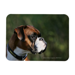 Magnet Flexible Profil de côté de chien de boxeur
