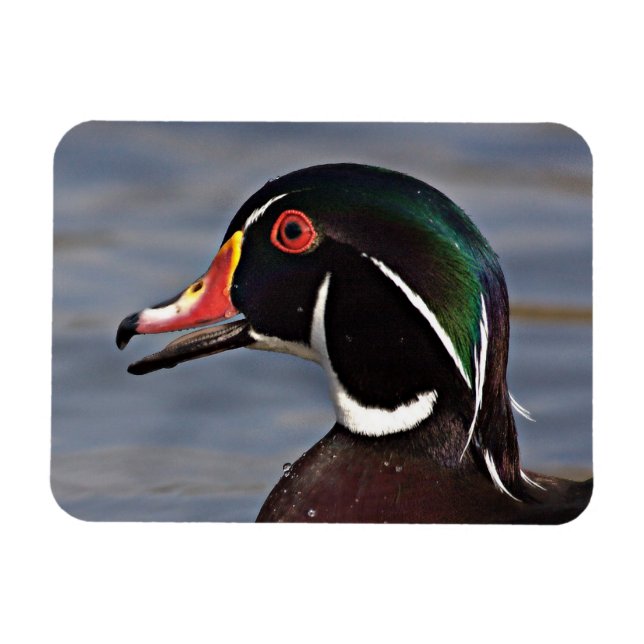 Magnet Flexible Profil d'un canard à bois (Horizontal)