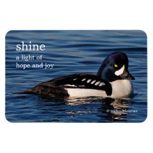 Magnet Flexible Profil d'un oeil d'or de Barrow