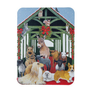 Magnet Flexible Protégé