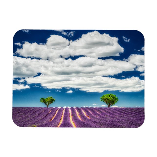 Magnet Flexible Provence (Horizontal)