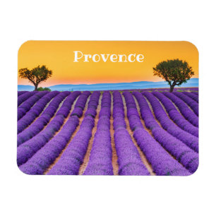 Magnet Flexible Provence