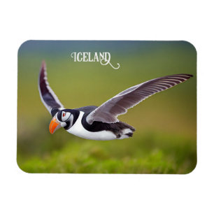 Magnet Flexible Puffin d'Islande