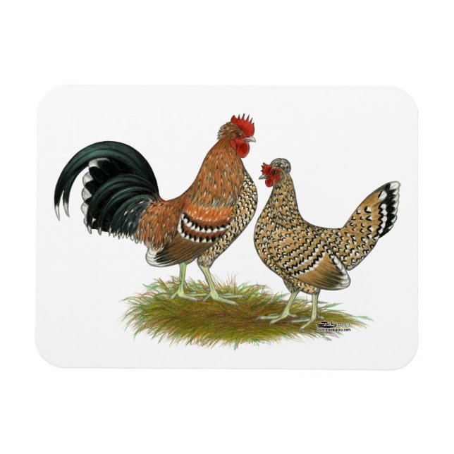 Magnet Flexible Pyncheon Bantams (Horizontal)