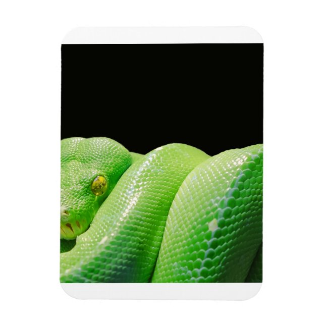 Magnet Flexible python vert (Vertical)