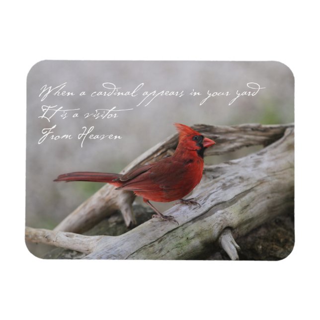 Magnet Flexible Quand un cardinal apparaît dans votre cour... (Horizontal)
